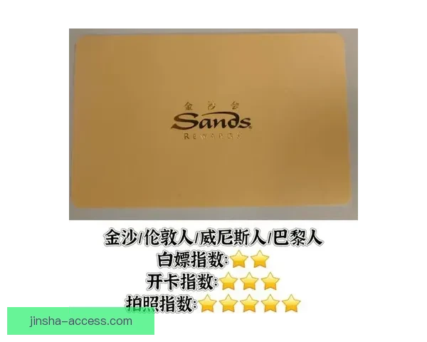 金沙手机版登录全新体验攻略与功能详解指南